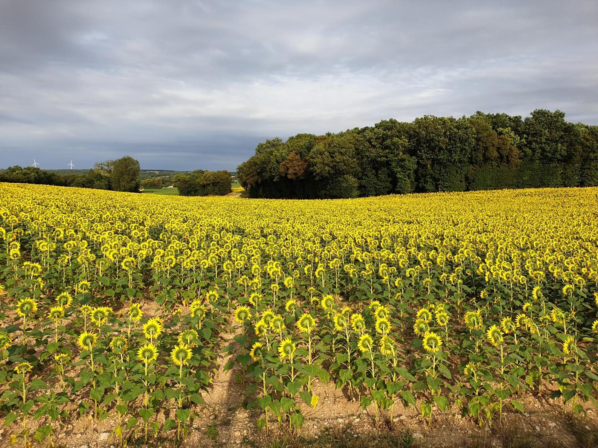 Tusson Chambres D'Hotes Charente Zewnętrze zdjęcie